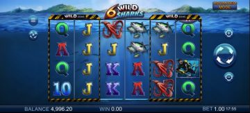 6 Wild Sharks